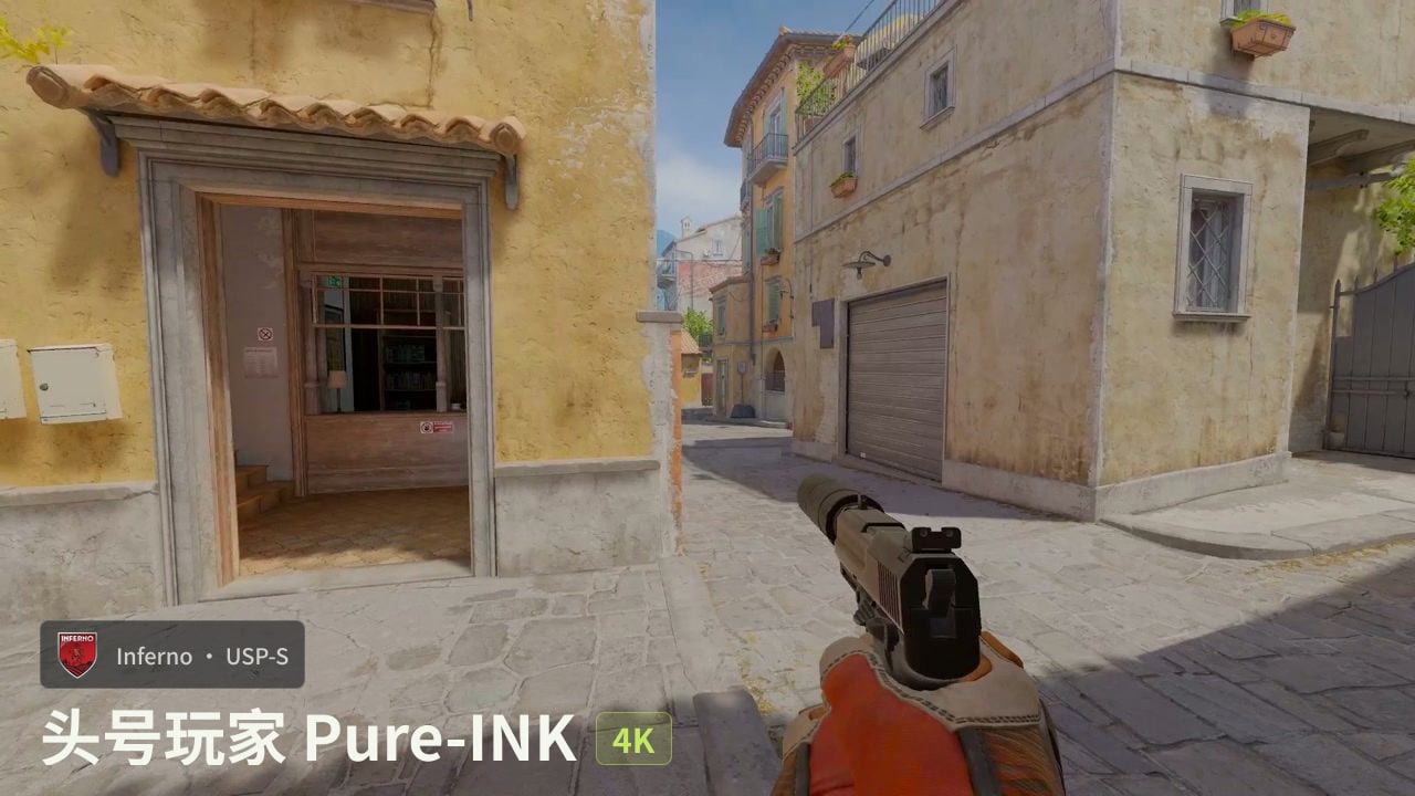头号玩家 Pure-INK USP 四杀